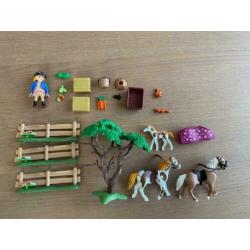 Playmobil Country 5227 Paddock met paardenfamilie (compleet)