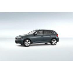 Skoda Kamiq 1.0 TSI Business Edition Stoere looks verpakt in