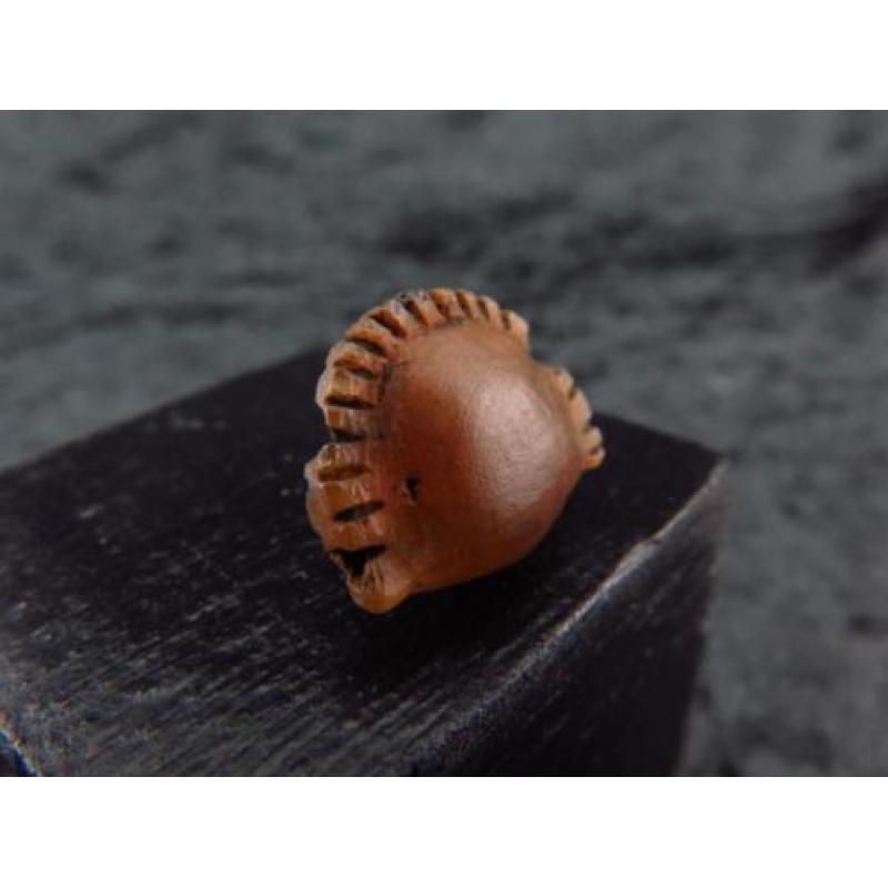 Egyptian crystal Cowrie shell amulet