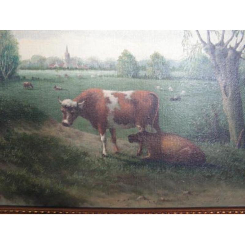 659435} leuk schilderij met koeien in lijst 75x95cm - €125